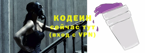 дживик Бородино