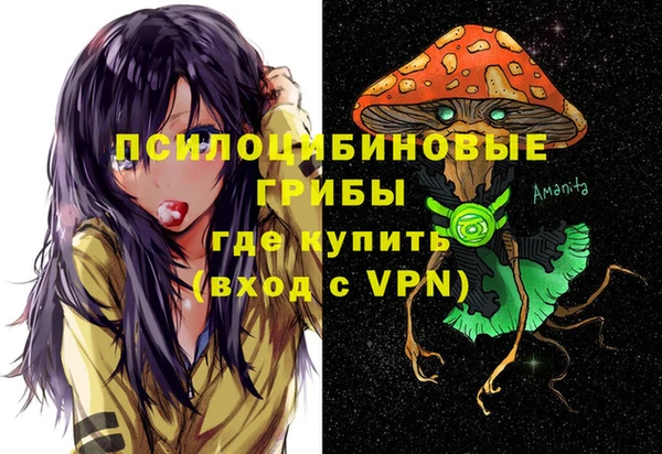 дживик Бородино