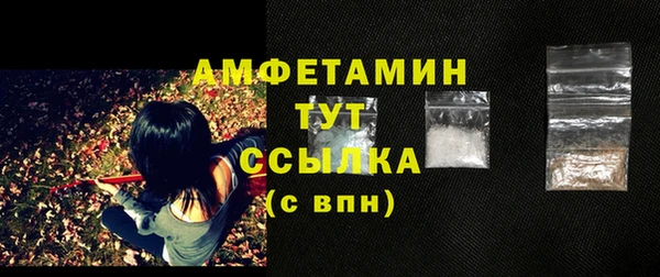 дживик Бородино